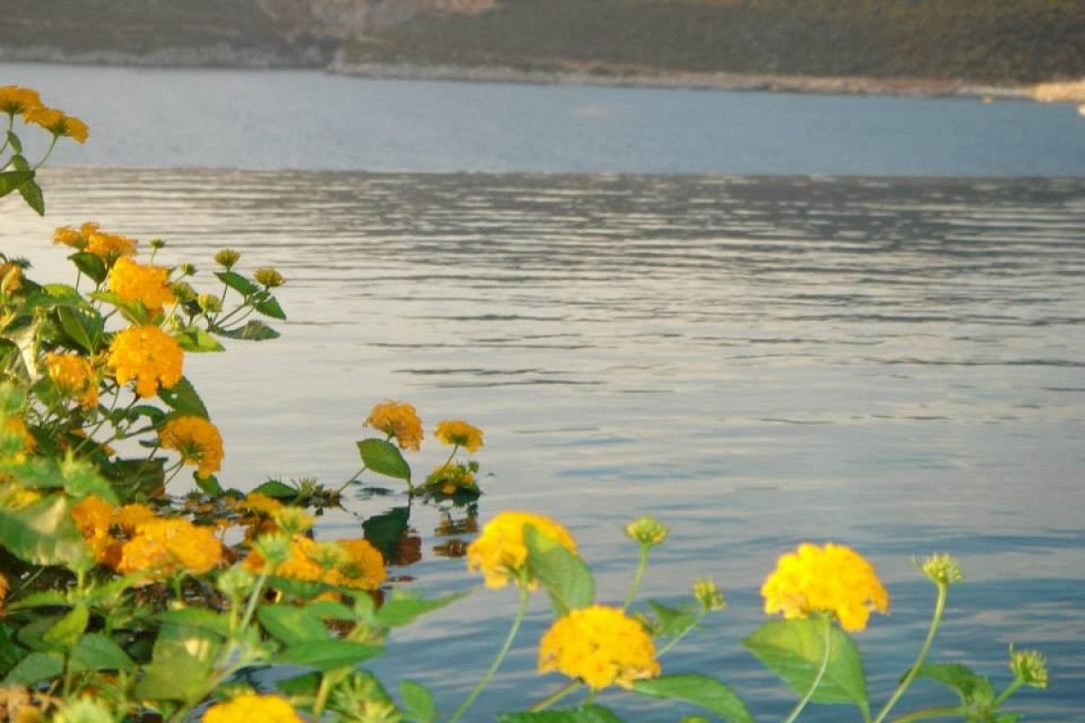 imagini hotel PATARA PRINCE RESORT